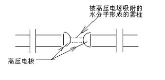 1598942662140339.jpg 4729064_看圖王.jpg